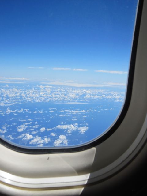 IMG 0500 copy